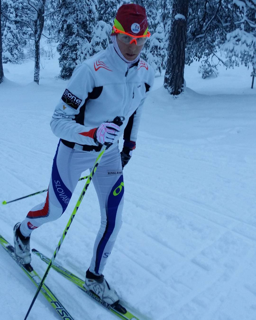 Foto: instagram.com/slovak_xcskiteam, Alena Procházková alenaprochazkova